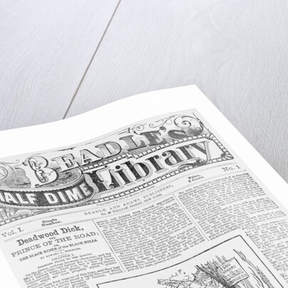 Cover of Beadle's Half Dime Library by Anonymous