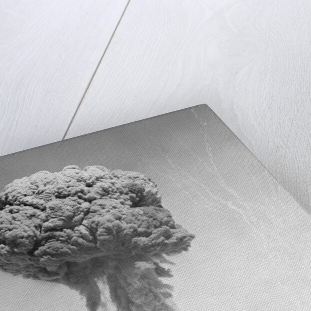 Mushroom Cloud by Anonymous