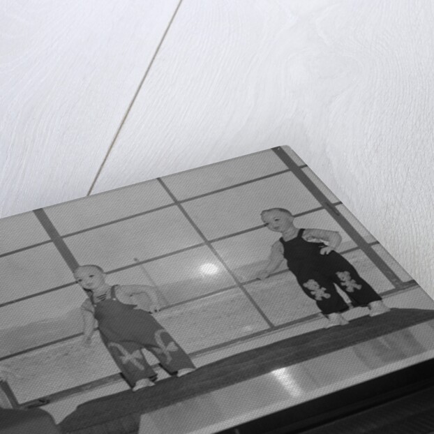 Test Dummies in Doom Town by Anonymous