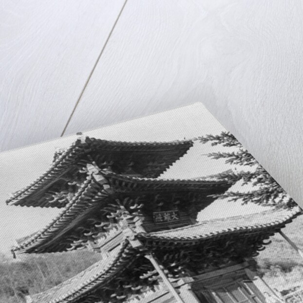 Great Buddha Hall by Anonymous