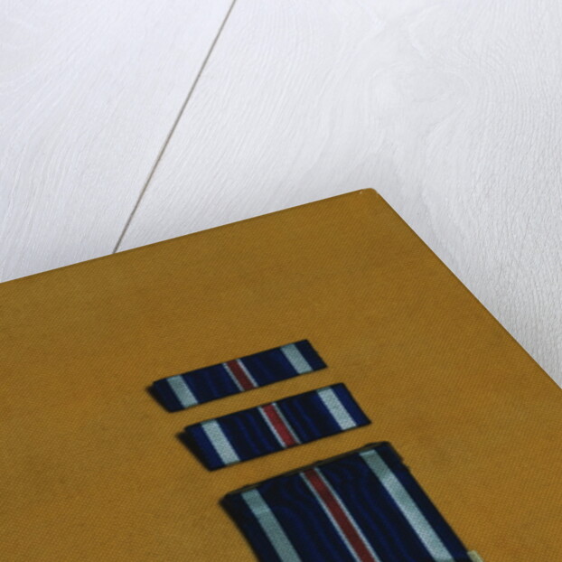 Distinguished Flying Cross by Anonymous