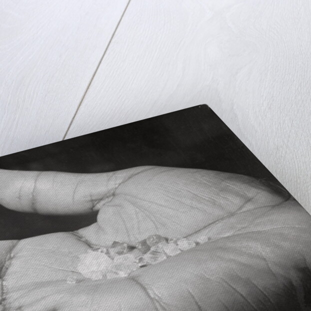 Close up of Hand Holding Diamonds by Anonymous