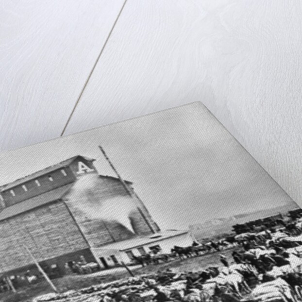 Farmers at Steam Operated Grain Elevator by Anonymous
