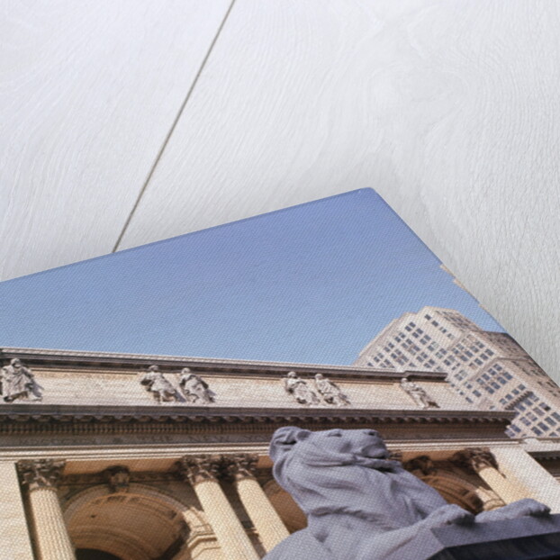 New York Public Library by Anonymous