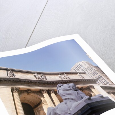 New York Public Library by Anonymous