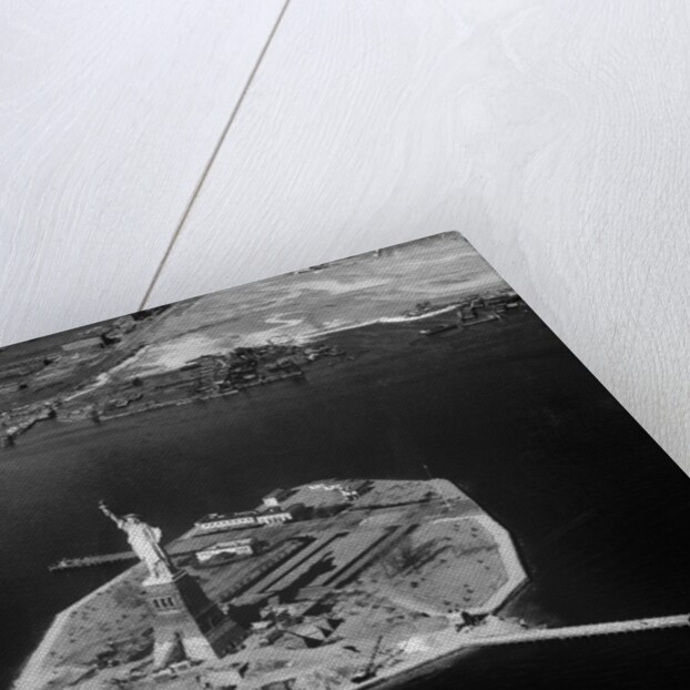 Aerial View of Liberty Island by Anonymous