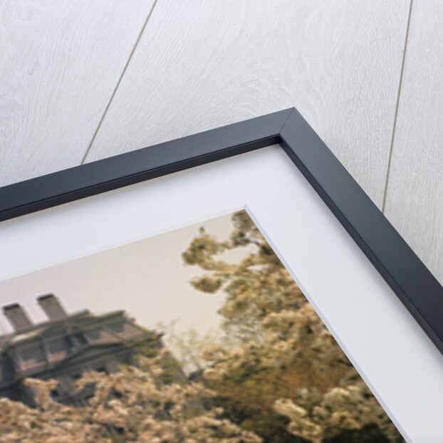 White House Rose Garden by Anonymous