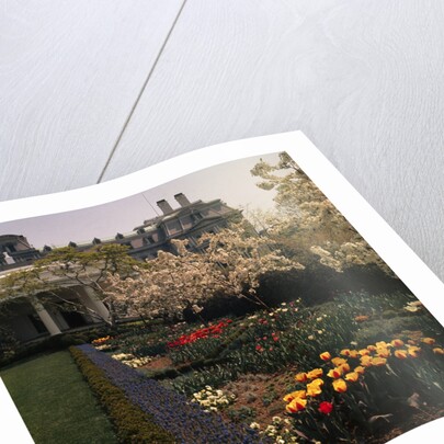 White House Rose Garden by Anonymous