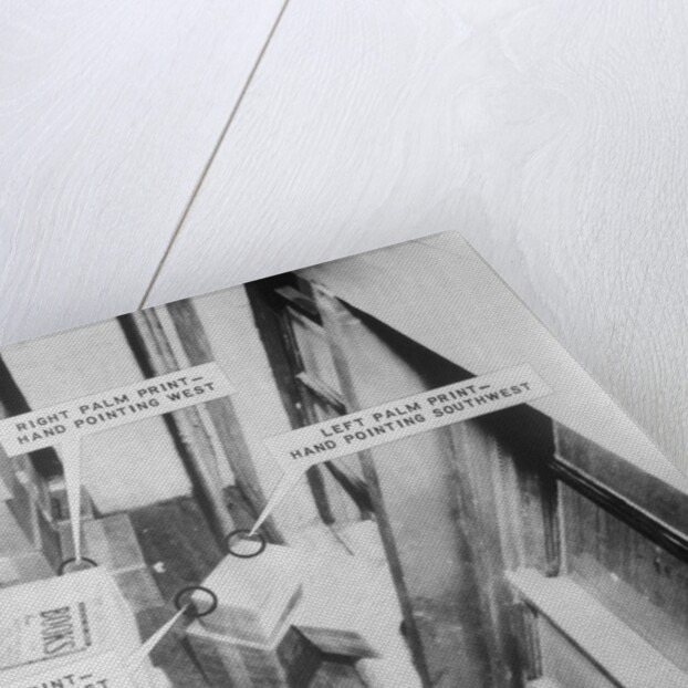 Texas School Book Depository After Assassination by Anonymous