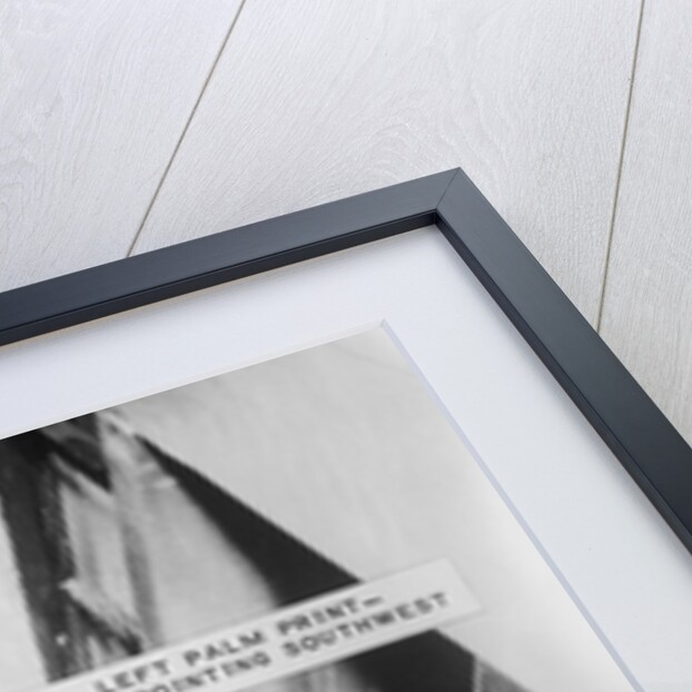 Texas School Book Depository After Assassination by Anonymous