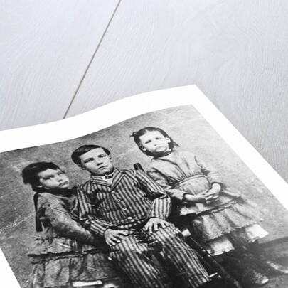 Warren Harrding at Six Years Old by Anonymous