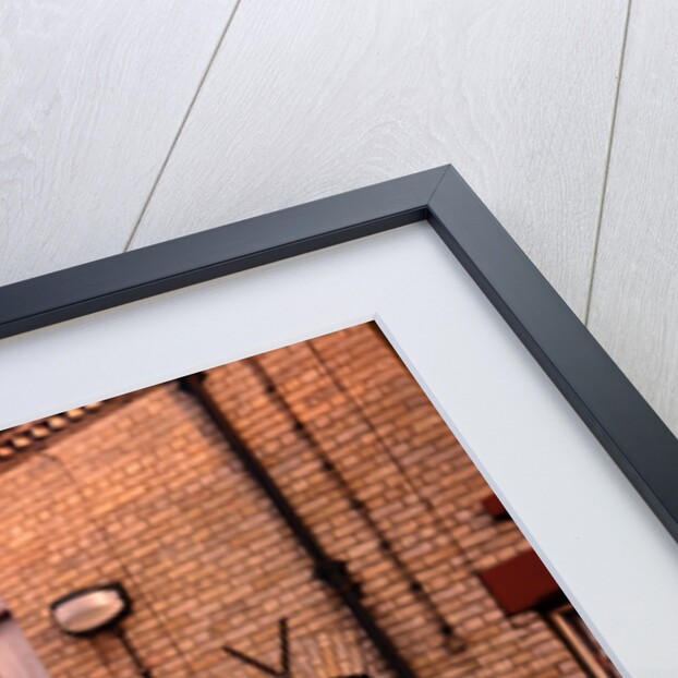 Admiral Grove by Anonymous