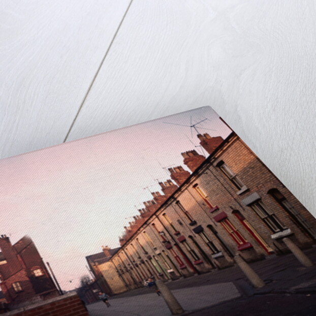 Admiral Grove by Anonymous