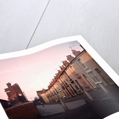 Admiral Grove by Anonymous