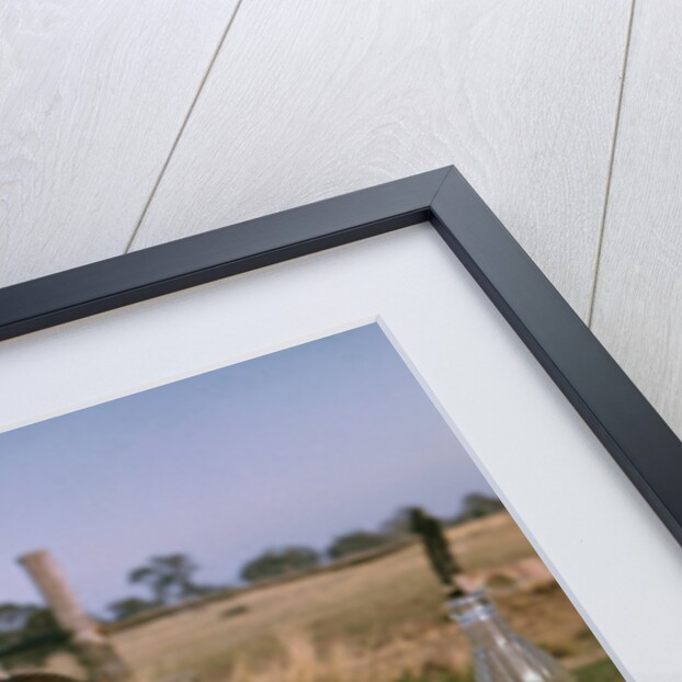 Monkey Eating Lunch by Anonymous