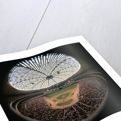 Houston Domed Stadium by Anonymous