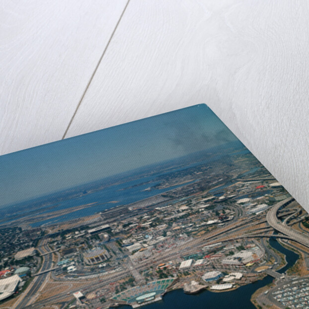 Aerial View of World's Fair by Anonymous