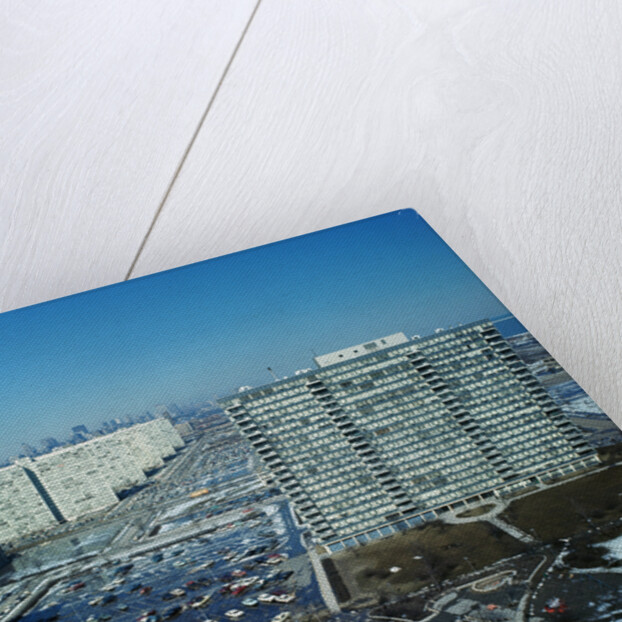 Lake Meadows and Prairie Shores Housing Projects by Anonymous