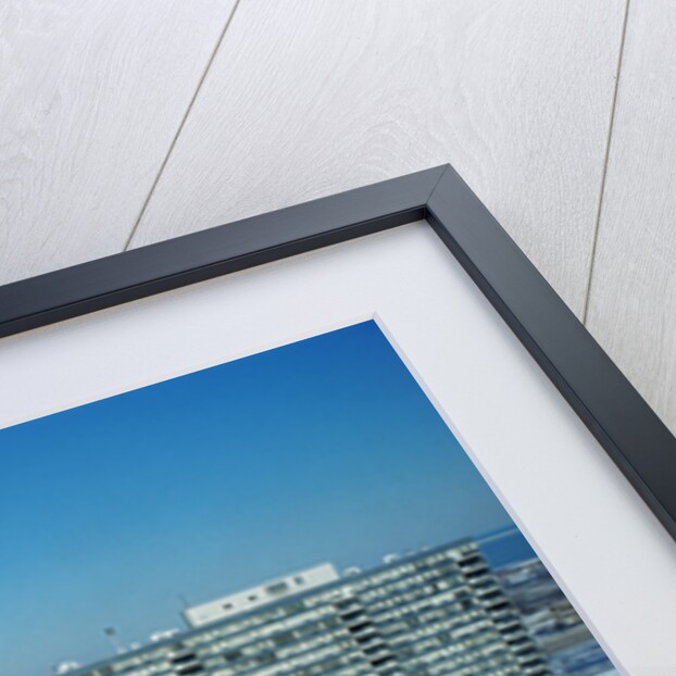 Lake Meadows and Prairie Shores Housing Projects by Anonymous