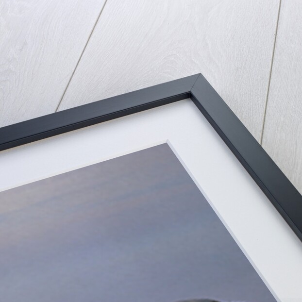 American Airlines Lockheed Electra Turbo-prop 1966 by Anonymous