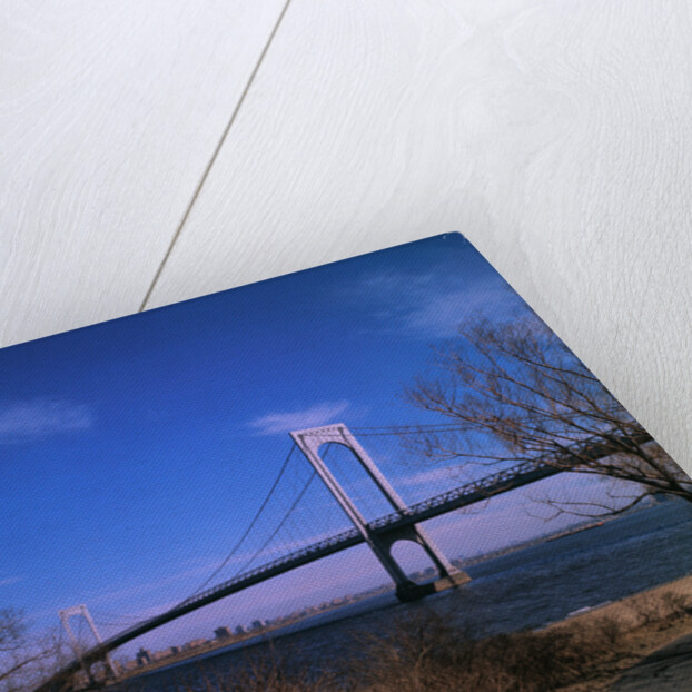 View of Verrazano Narrows Bridge by Anonymous