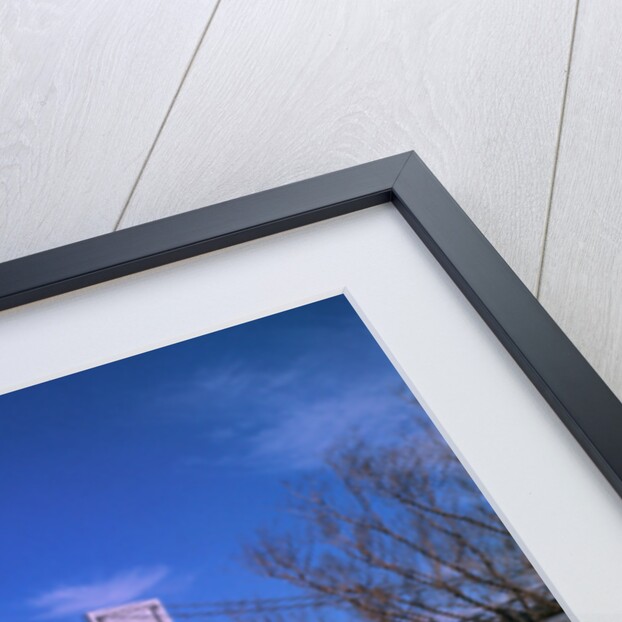 View of Verrazano Narrows Bridge by Anonymous