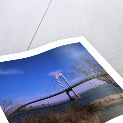 View of Verrazano Narrows Bridge by Anonymous