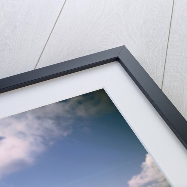 Cessna 182 Flying by Anonymous