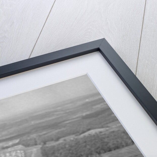 Auto Grand Prix in 1967 by Anonymous