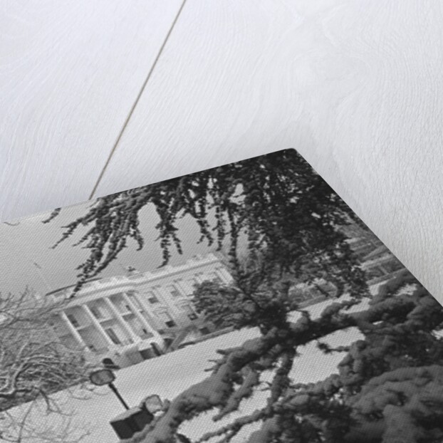 White House Lawn Covered in Snow by Anonymous