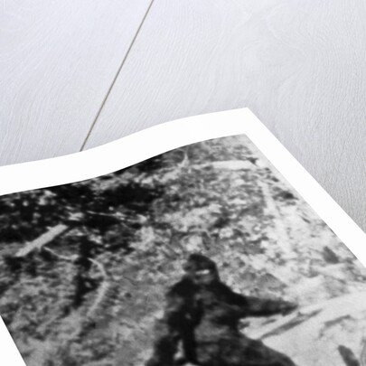 Alleged Photo of Bigfoot by Anonymous