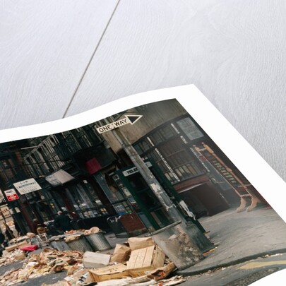 Piles of Garbage Lying on the Street Curb by Anonymous
