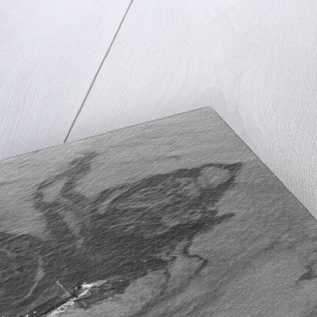 Aerial View of Boat Spilling Oil into Ocean by Anonymous