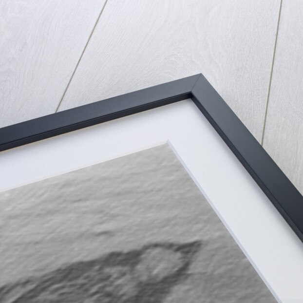 Aerial View of Boat Spilling Oil into Ocean by Anonymous