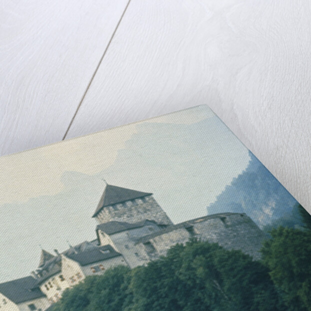 Liechtenstein Castle by Anonymous