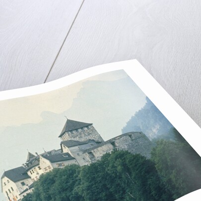 Liechtenstein Castle by Anonymous