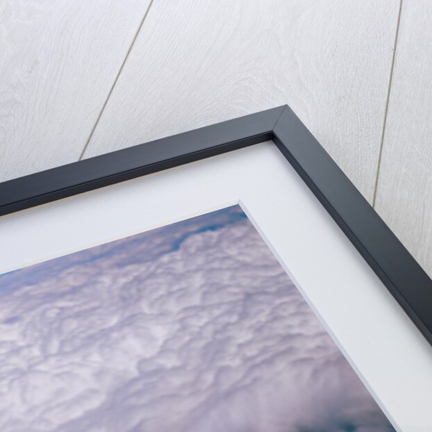 Navajo Piper Plane Flying by Anonymous