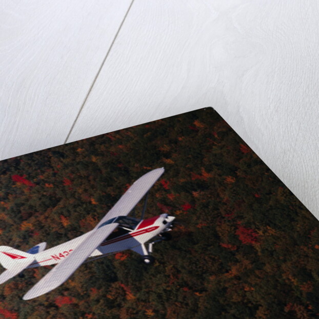 Super Cub Piper Plane by Anonymous