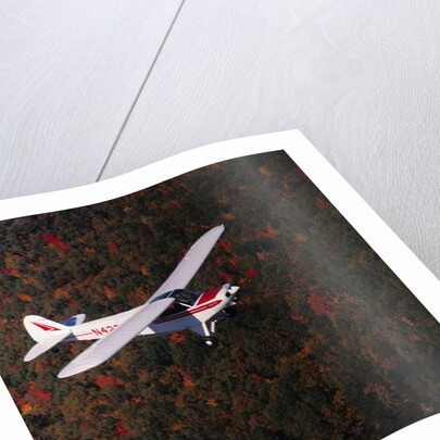 Super Cub Piper Plane by Anonymous