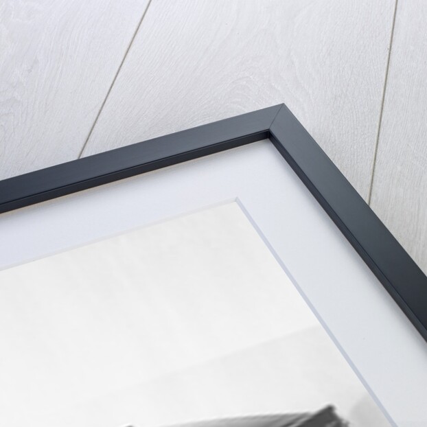 Lincoln Continental Presidential Limousine by Anonymous