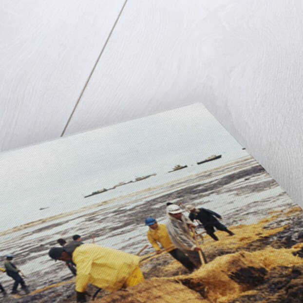 Workmen Dragging Hay Along the Beaches by Anonymous