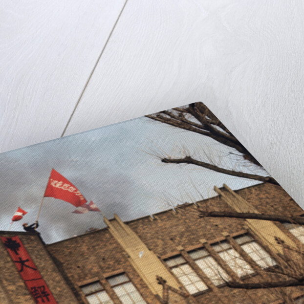 Student Waving Flag from Top of Building by Anonymous