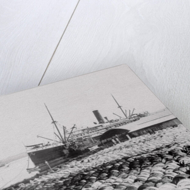 Palm Oil Shipping by Anonymous