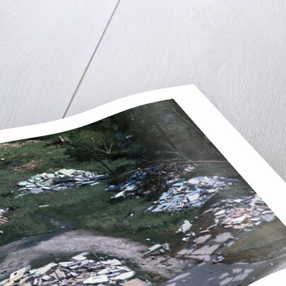 Damage Left by Hurricane Camille by Anonymous