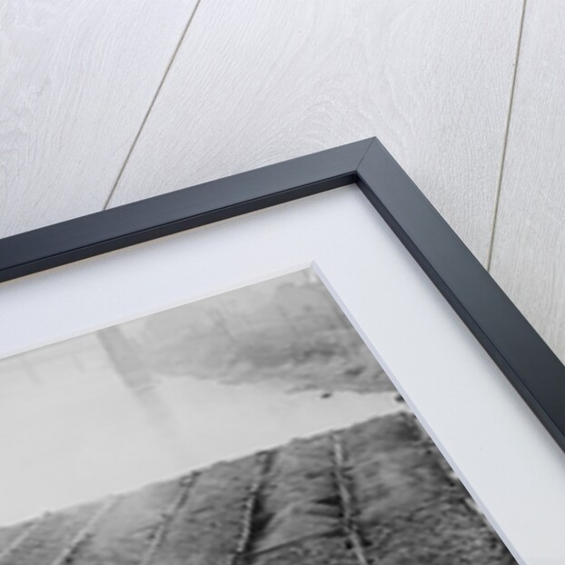 Coal Reserves on Monongahela River by Anonymous