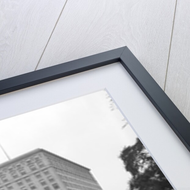 Chicago's Drake Hotel Standing Tall by Anonymous