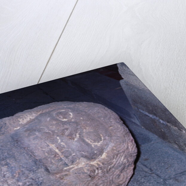 Aztec Artifact Found During Excavation by Anonymous