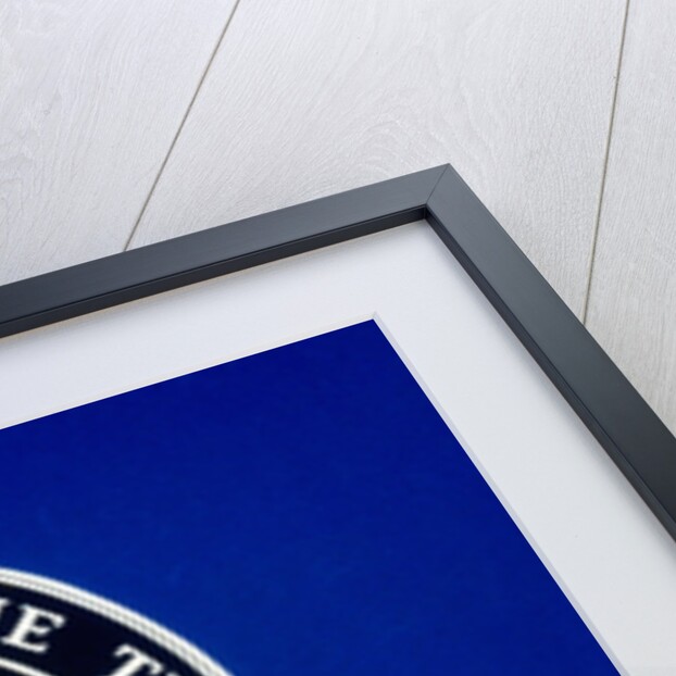 US Department of the Treasury Seal by Anonymous