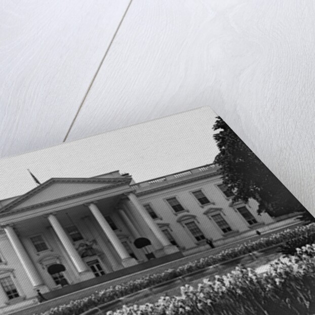 White House And Iris Garden by Anonymous