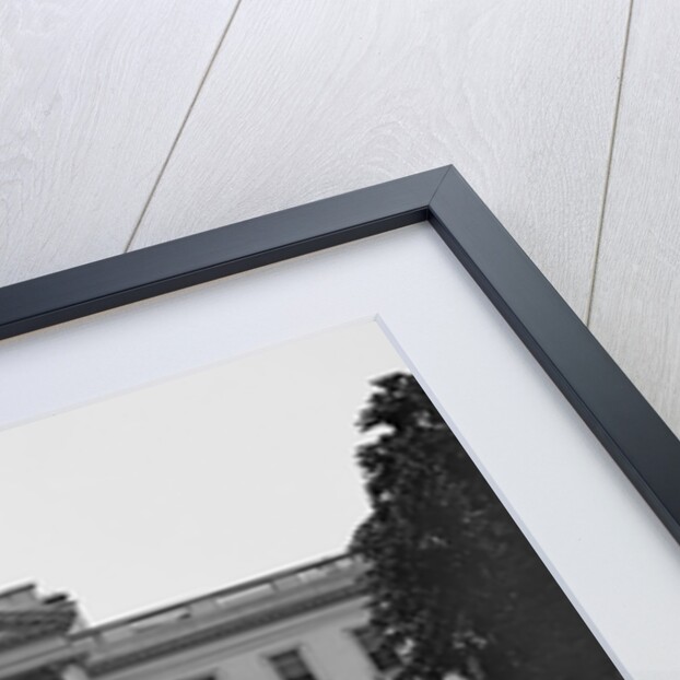 White House And Iris Garden by Anonymous